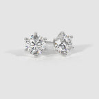 Radiant Halo-Prong Studs